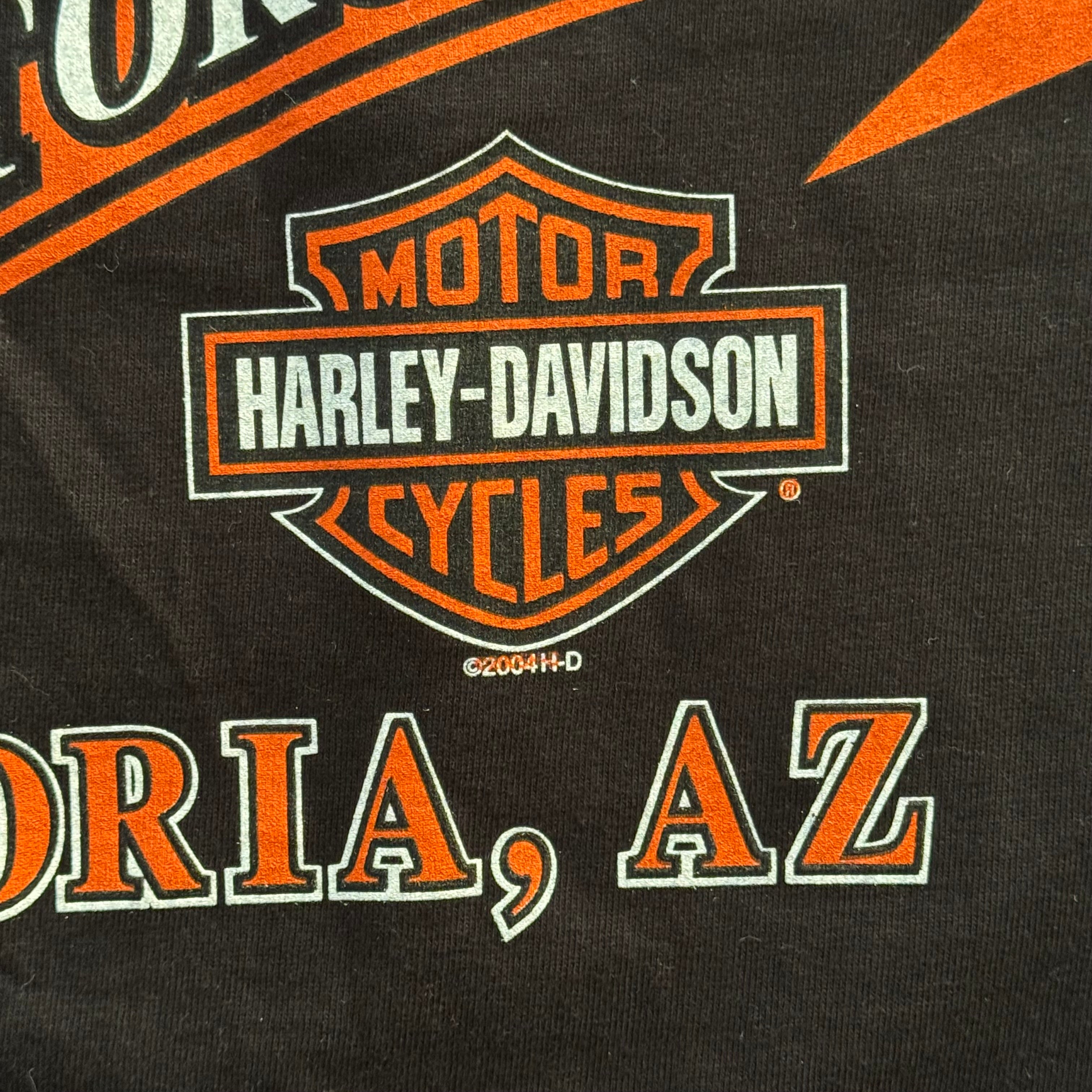 00s harley davidson flames tee - L/XL